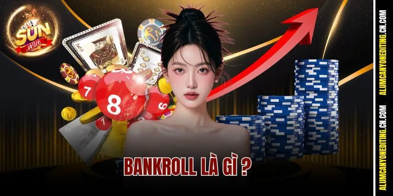 Bankroll là gì?