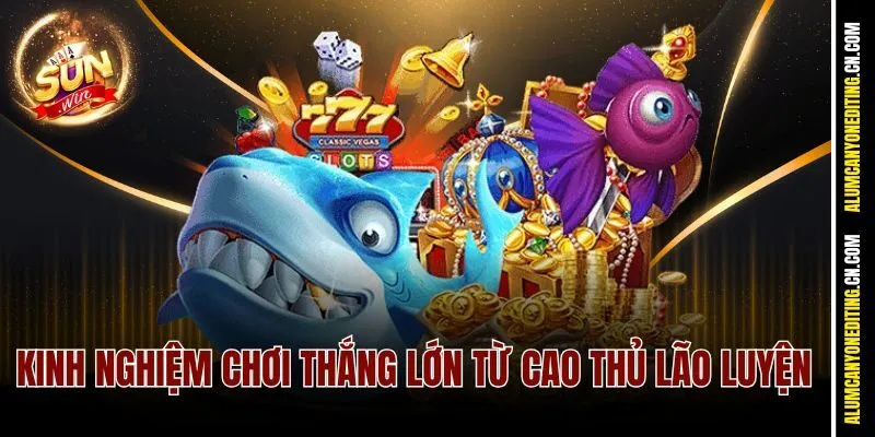 Kinh nghiệm chơi thắng lớn từ cao thủ lão luyện