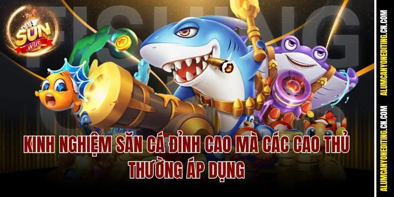 Kinh nghiệm săn cá đỉnh cao mà các cao thủ thường áp dụng