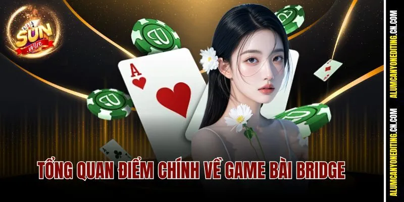 Tổng quan điểm chính về game bài Bridge